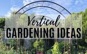 Vertical Gardening with Master Gardener Jessica McCollum!