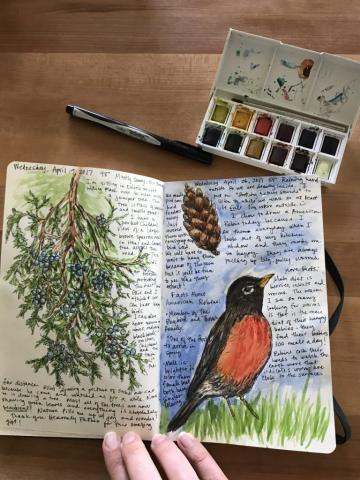 An example journal with illustrations and notes on a tree and a bird