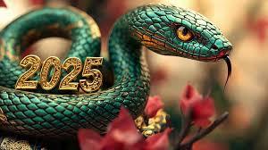 The REptile Project: Year of the Snake 