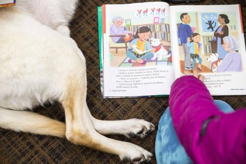 Shows a child reading to a dog (neither the child nor the dogs face is visible)