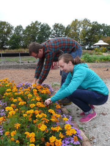 Members of the Purdue Extension practice gardening.