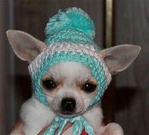 Crocheting Class - Held Offsite