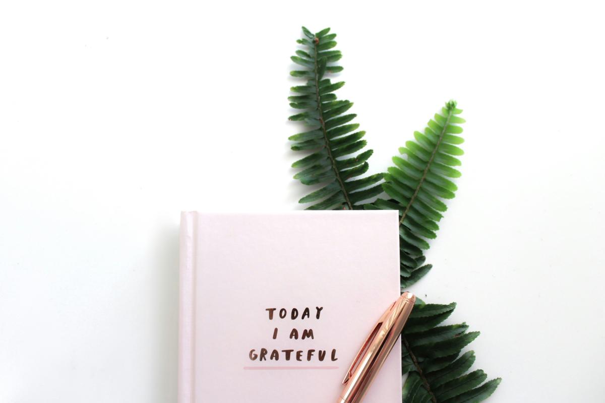 photo of a journal page that reads "i am grateful" with a pen sitting on the page and a fern behind the journal