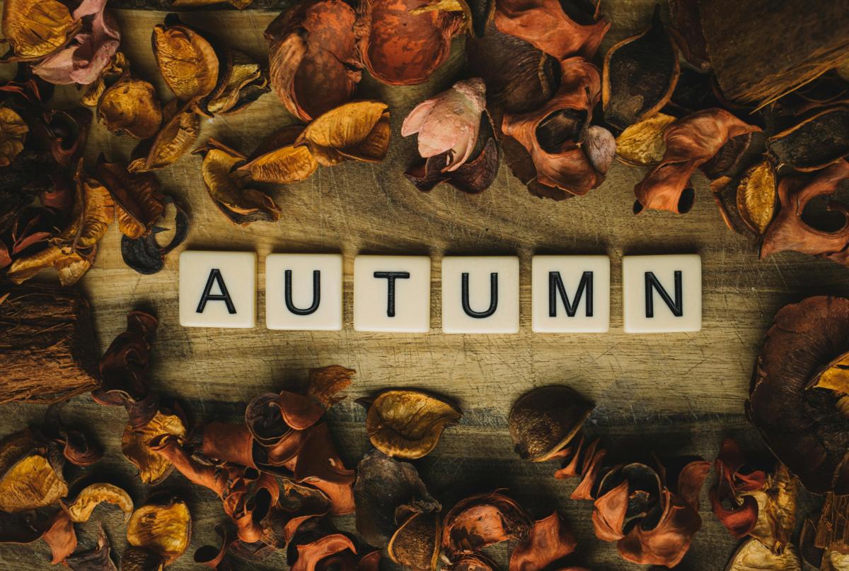 scrabble tiles spelling autumn surrounded by fall leaves