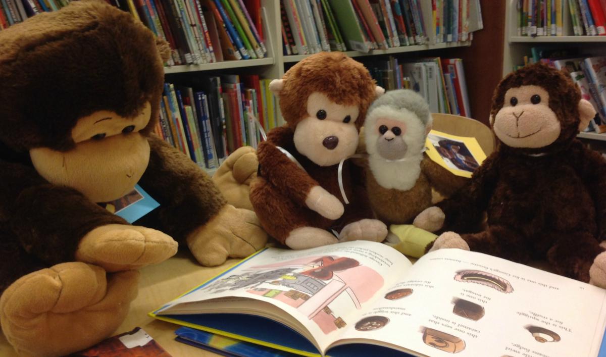 three stuffed monkeys "reading" a book